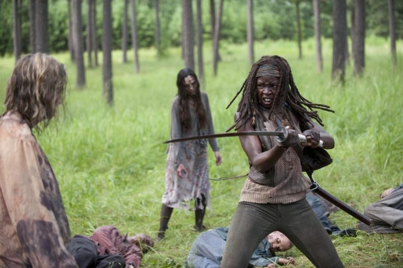 Serie tv - The Walking Dead - Quarta Stagione The Walking Dead - Michonne - Danai Gurira