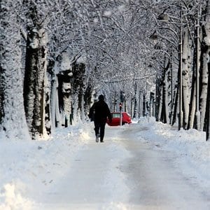 Il freddo