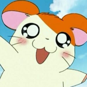 Hamtaro