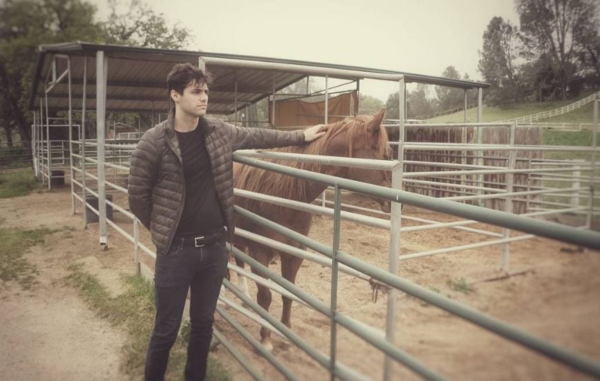 Matthew Daddario