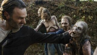 The Walking Dead - TWD 7 - Andrew Lincol