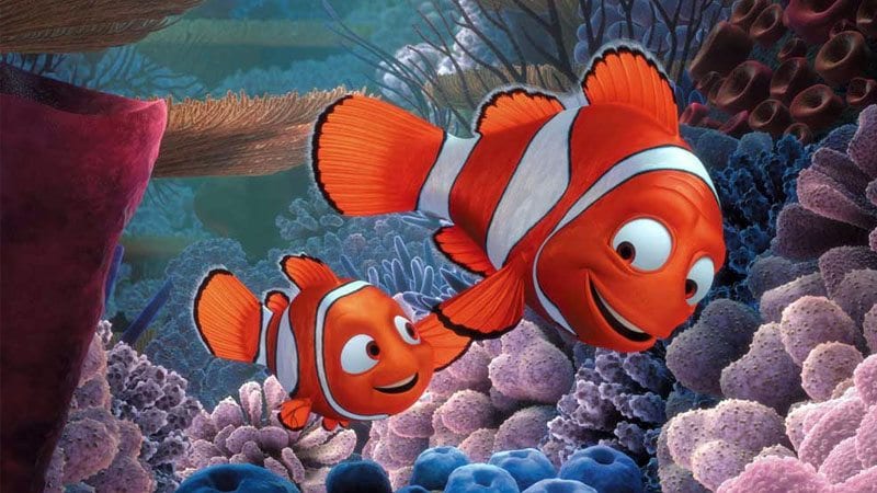 Alla Ricerca di Nemo 15 curiosità sul film Disney Pixar!