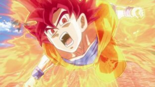 Dragon Ball Super Goku Torneo del Potere