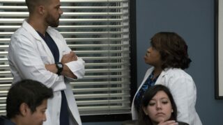 Grey's Anatomy 14x08 streaming: Caos al Grey Sloan