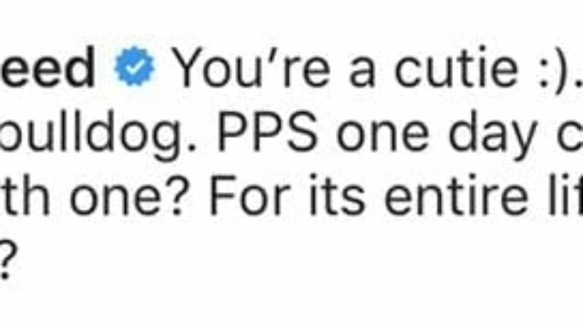 Ian Somerhalder si scaglia contro il cyberbullismo su Instagram