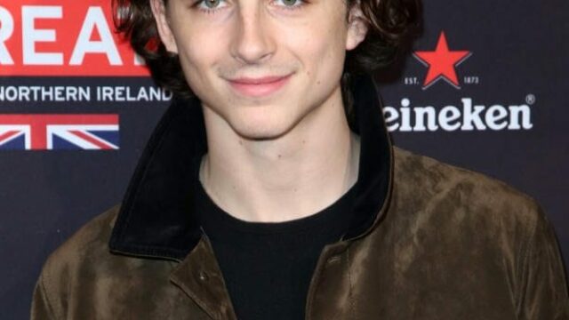 Netflix The King TimothÃ©e Chalamet