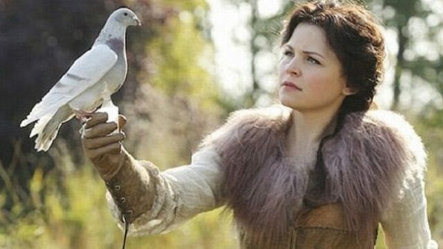 Ginnifer Goodwin curiositÃ : dall'amore con Josh Dallas all'addio ai social Ginnifer Goodwin di Once Upon A Time in una nuova serie TV