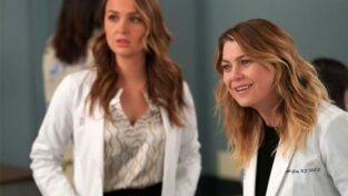 grey's anatomy 14x14 streaming