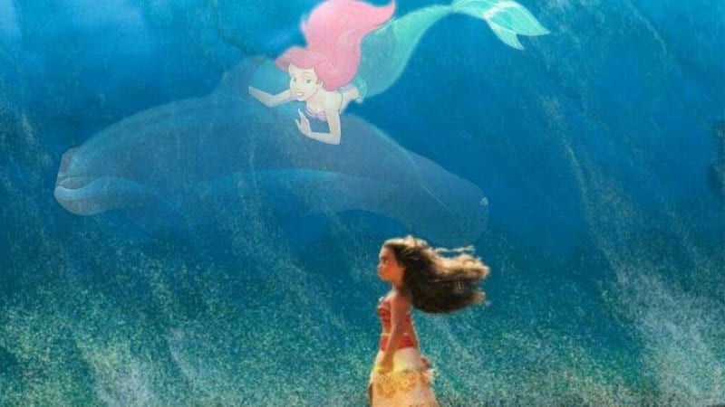 Disney La Sirenetta e Oceania