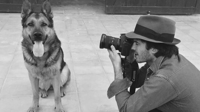 ian somerhalder addio al cane