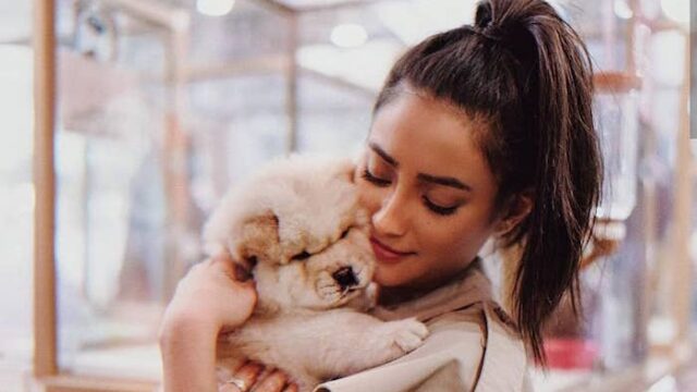 Shay Mitchell ha rivelato in alcune story di Instagram di aver subito un aborto spontaneo nel corso del 2018, ecco i dettagli