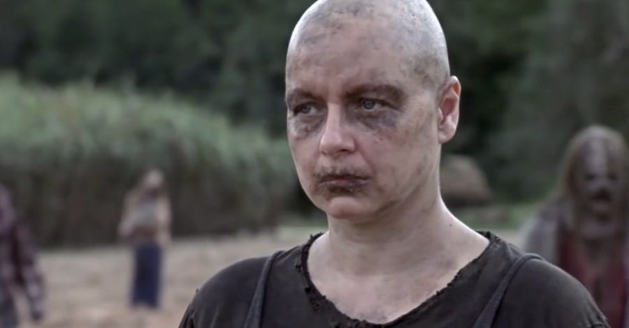 The Walking Dead Stream The Walking Dead Stream