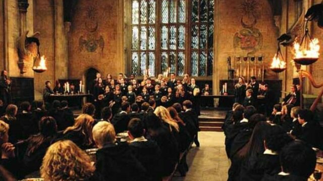 professori di harry potter