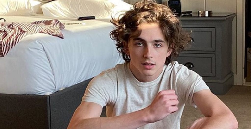 Timothee Chalamet italia coronavirus