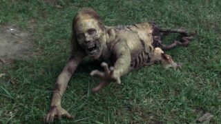 The Walking Dead Netflix