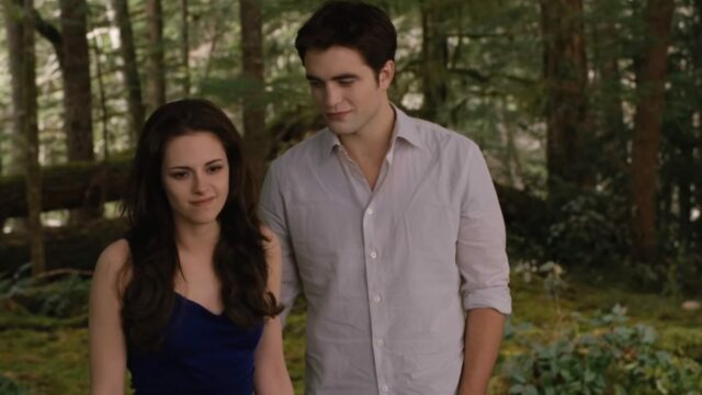 regista twilight midnight sun