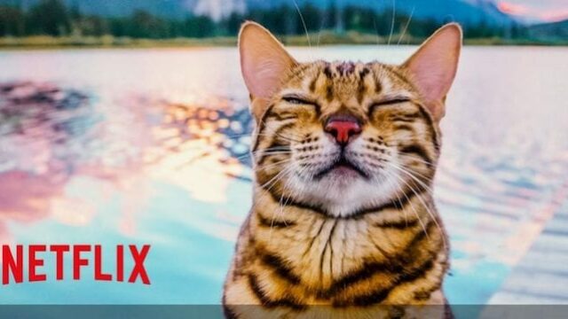 Uscite Netflix ottobre 2020: novitÃ , film e serie TV in arrivo in streaming! Tutti i titoli in uscita in streaming nel catalogo del mese