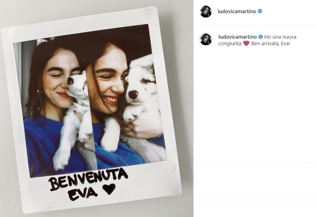ludovica martino skam cane eva instagram