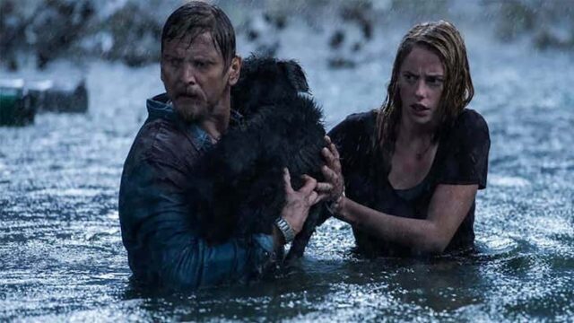 Uscite Netflix marzo 2021: tutte le novità in arrivo in streaming