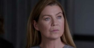 ellen pompeo grey's anatomy 17