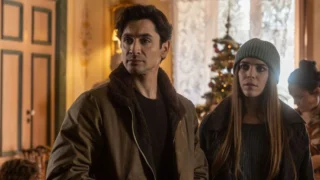 Gerri fiction Rai 1 quando inizia, trama, cast streaming