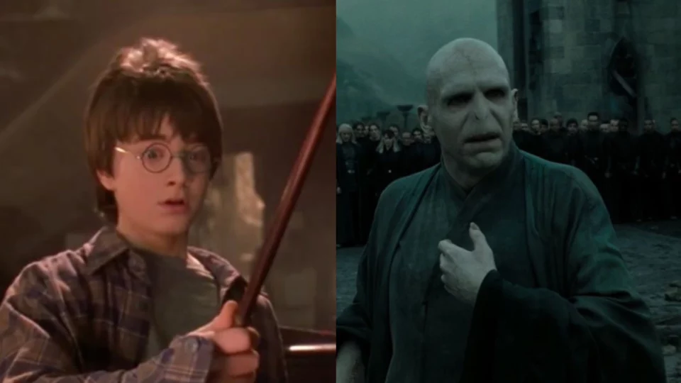 harry potter regista