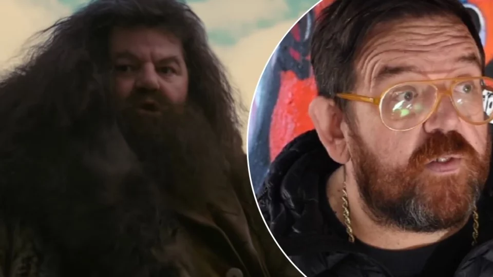 nick frost hagrid serie tv harry potter