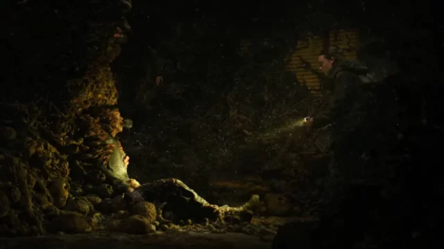 Il fungo in The Last of Us è reale: può causare una pandemia zombie?
