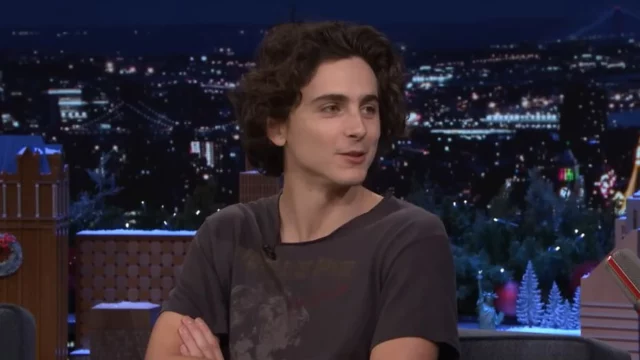 Timothée Chalamet sarà in Italia per ricevere un premio ai David 70