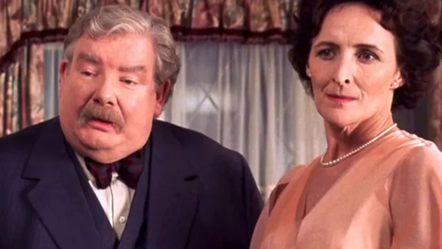 harry potter serie vernon petunia dursley