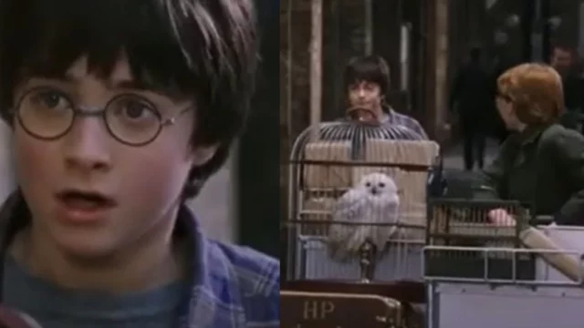 harry potter serie