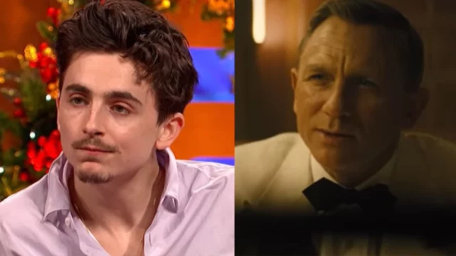 timothée chalamet