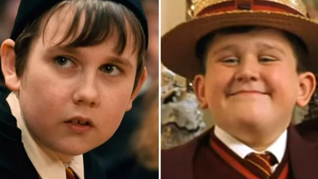 serie tv harry potter neville paciock dudley dursley