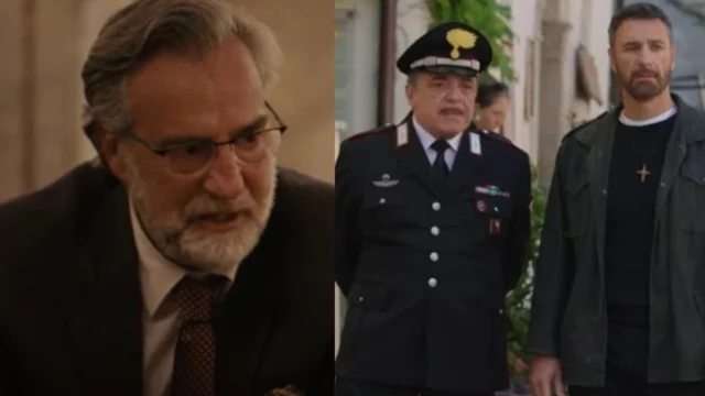 max tortora