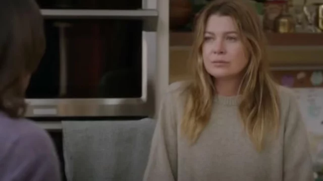 grey's anatomy 22