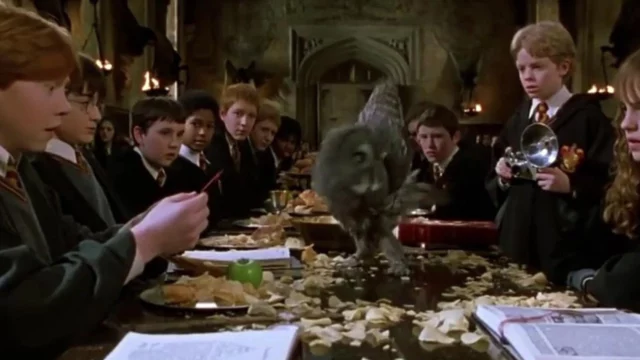 harry potter serie